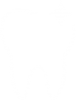 Estetica dental